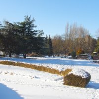 Зимний  пейзаж :: Валентин Семчишин