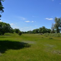 **** :: Виктор 