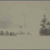 Метель пришла :: Aleksandr Gal