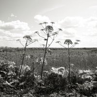 Фотография :: Денис Безногов