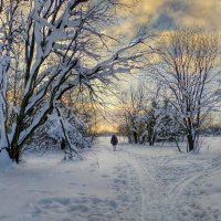 зимний пейзаж :: Валентина. .
