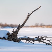 6 :: Сергей Флетчер