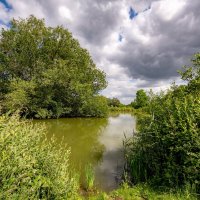 *** :: Николай Гирш