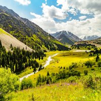 СОЛНЕЧНАЯ ПОЛЯНА :: HART BAD