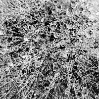 Одуванчик и капли :: Наталья (ShadeNataly) Мельник