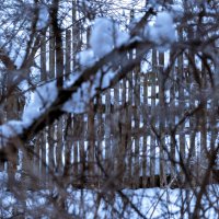 Деревенский забор :: Илья Шенгелия