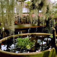 Ботанический сад СПб, оранжерея. :: VasiLina *