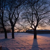 *** :: Сергей Григорьев