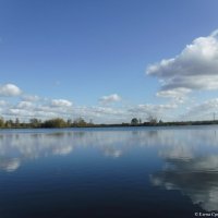 Озеро Площанское :: Елена Сухорученкова