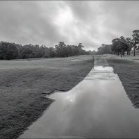 Утро :: **** vedin