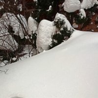 Снег у подъезда :: Татьяна Тюменка