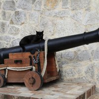 Пират :: Геннадий Валеев