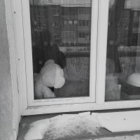 Плюшевая спячка трёх медведей :: Игорь Солдаткин