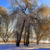 На берегу озера :: Игорь Сычёв