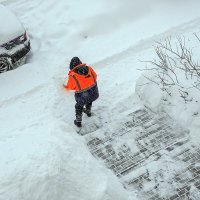 Работы для дворников ещё много :: Валерий Иванович
