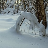 Зима :: Сергей Цветков