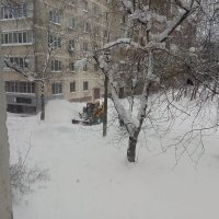 Убираем снег :: Елена Семигина