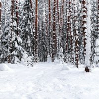 Про смоленскую зиму. :: Милешкин Владимир Алексеевич Про смоленскую зиму. :: Милешкин Владимир Алексеевич
