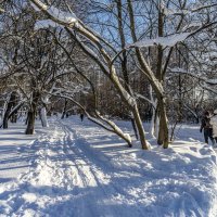 В  Воронцовском парке :: Владимир Езеров 