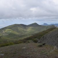 Природа Крыма :: Amazing Cosmea
