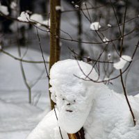 Снежный человек :: Александр Силинский