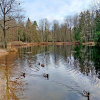 Всдед за вожаком. :: Лия ☼ Всдед за вожаком. :: Лия ☼