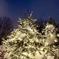 Зимняя сказка 2026 :: Iren Brilliance