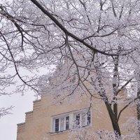 Зима в городе. :: Константин Белоногов