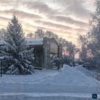 Морозный денек :: Юлия Денискина Морозный денек :: Юлия Денискина