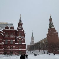 На сером фоне… :: Натали 