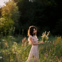 *** :: Александр Змеев