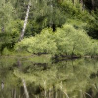 У беды глаза зелёные... или ушедшая душа русалки... :: Александр Беляков У беды глаза зелёные... или ушедшая душа русалки... :: Александр Беляков