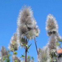 ** :: МАРИЯ ПОПОВА