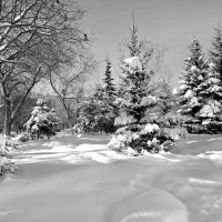 . :: РИТА ЛЕВКОВА