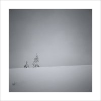 * :: Александр Иванов