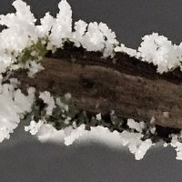 Мороз и иней :: Михаил Свиденцов