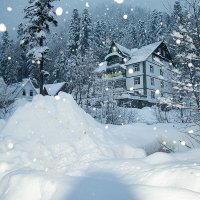 И красотою белоснежной весь мир окутан :: Римма Волченко И красотою белоснежной весь мир окутан :: Римма Волченко