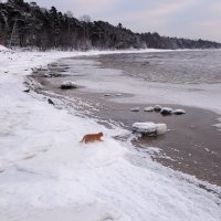 Когда на залив приходит отлив... :: Sergey Gordoff Когда на залив приходит отлив... :: Sergey Gordoff