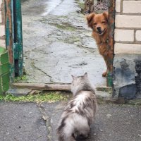 Улыбка из-за угла :) :: Наталья 