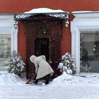 Бодрое утро :: Мария - Maria