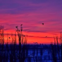 Утро начинается с рассвета... :: Валентина Нефёдова Утро начинается с рассвета... :: Валентина Нефёдова