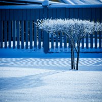 Зима. Ритм. Суздаль :: Вячеслав Владимирович