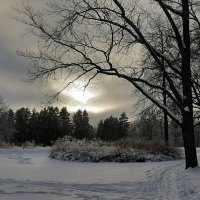 Петергоф. Парк Александрия :: Наталья Герасимова