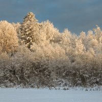 Вартемягское озеро :: skijumper Иванов