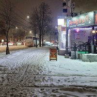 Сегодня погода вернулась в январь :: Татьяна Машошина