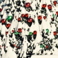 Январь укутал снегом нарядную ёлочку. :: Татьяна Помогалова