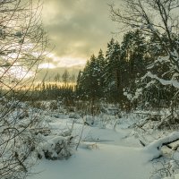 Тропою света.... :: Александр Филатов