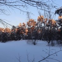 Зимний вечер :: Дмитрий И_