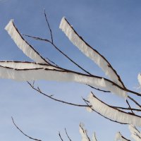 Оборочки инея :: Ольга 