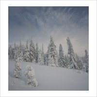 * :: Александр Иванов